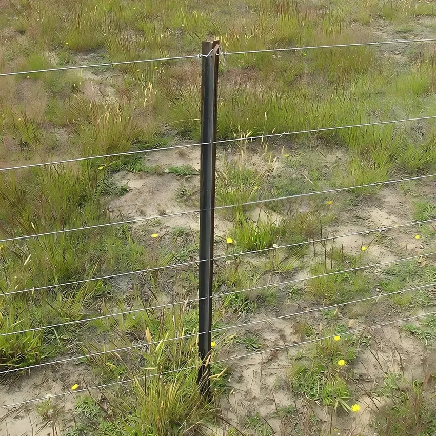 iron gates made to order