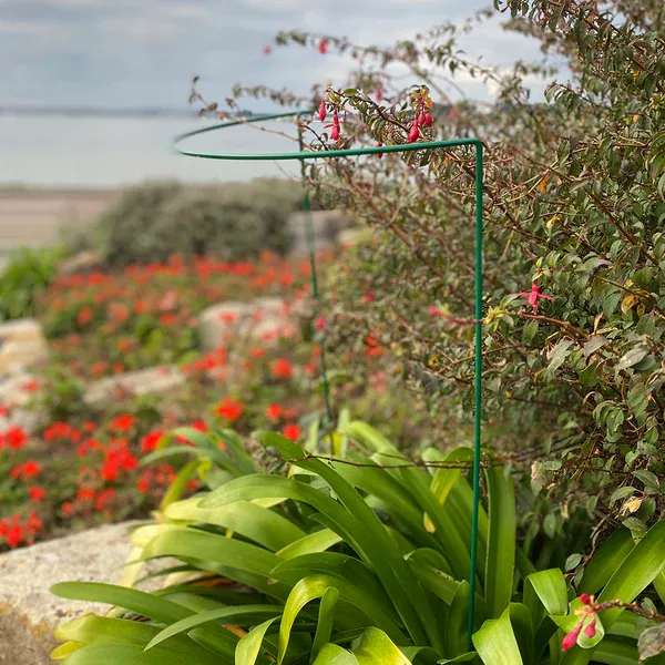 Read More About plant stakes wholesale