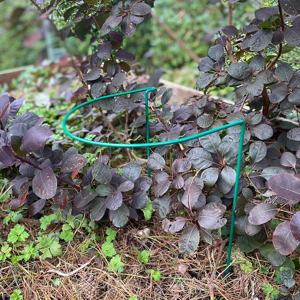 Read More About tomato trellis for sale