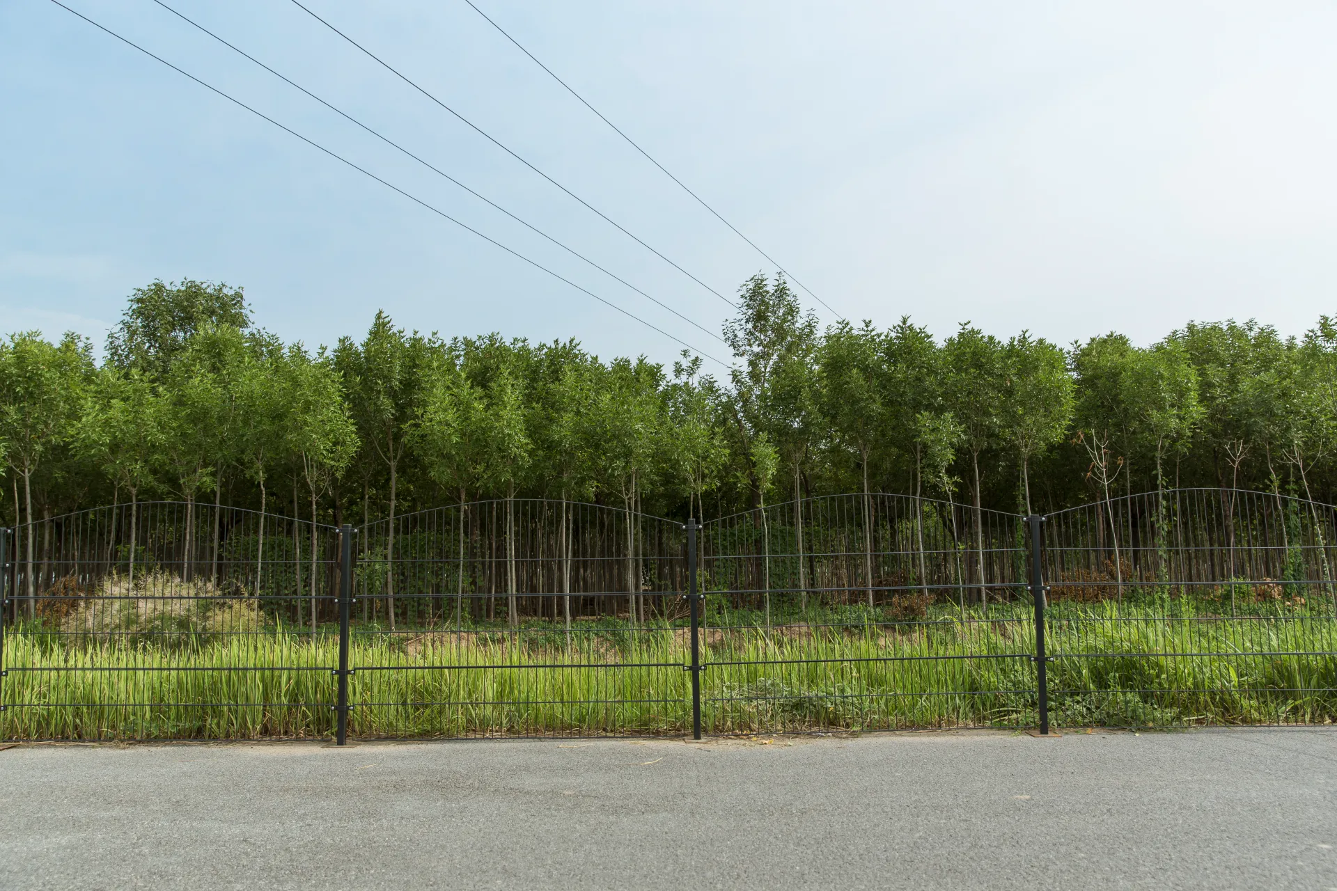 Corrugated Decorative 2D Panel Twin Wire Double Wire Panel Fence For Garden Wire Mesh Fence