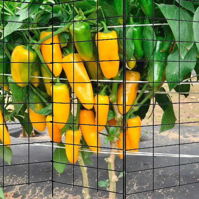 Cheap Metal Garden Trellis Support For Climbing Plant Ornaments