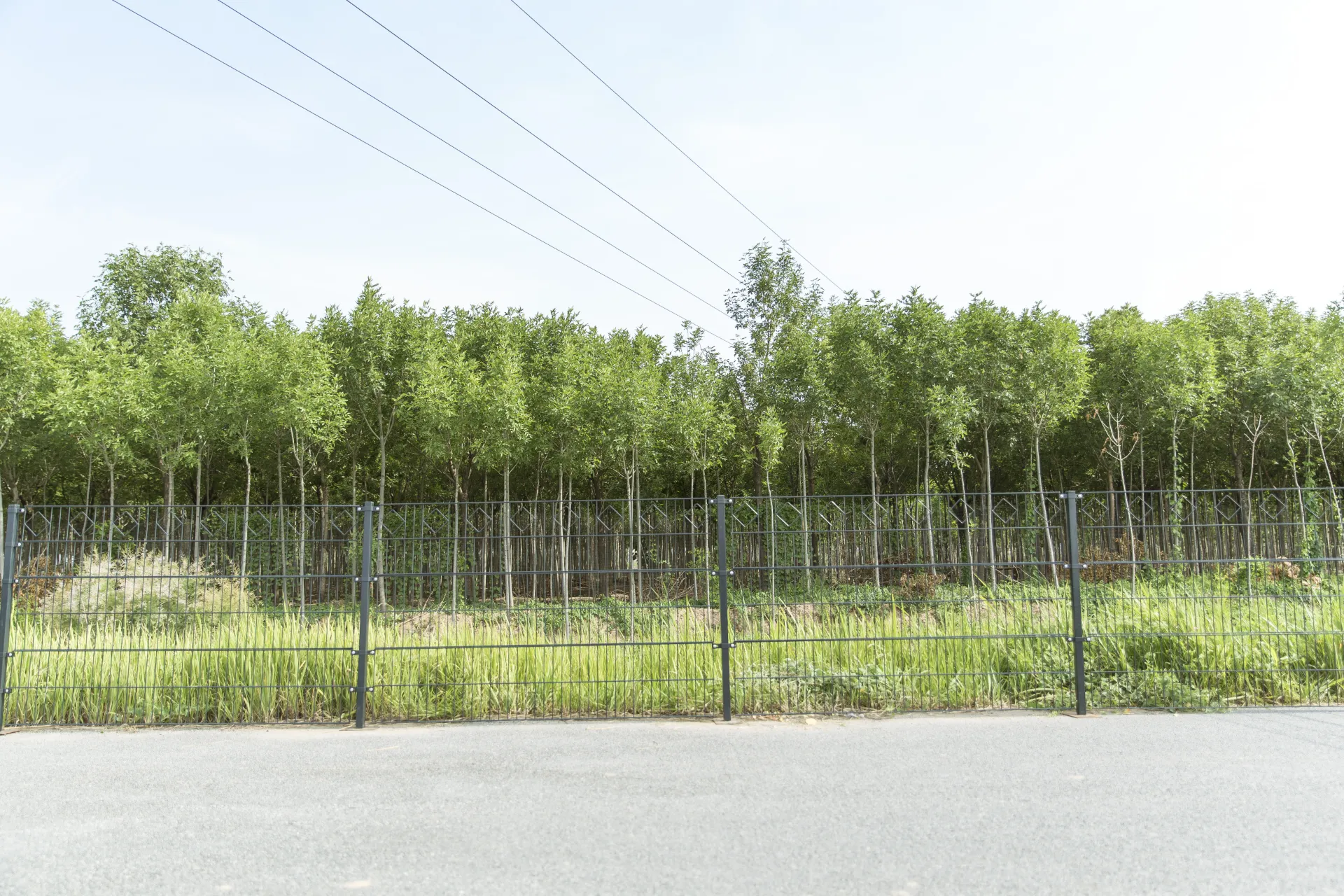 Diamond Shape Decorative 2D Panel Twin Wire Double Wire Panel Fence For Garden