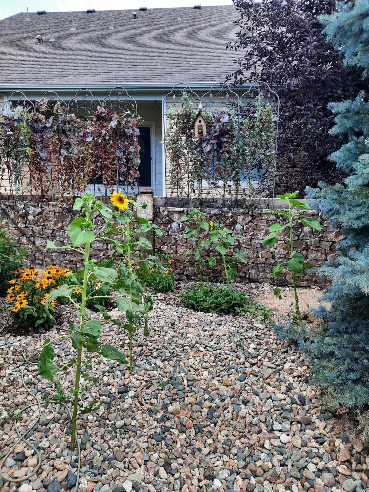 Fence Or Balcony Privacy Screen Decorative For Apartments Privacy Uv Protection For Outdoor Patio Porch Deck Pet Barriers