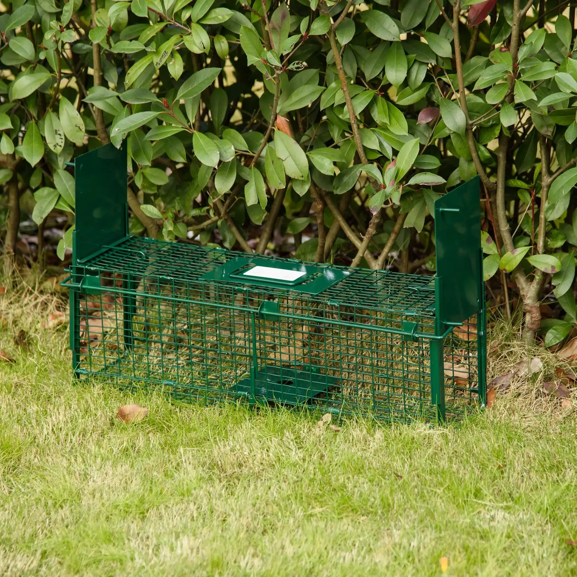 Large Dog Mouse Rat Cat Hot Sale Wire Possum Cage Wild Animal Trap Pig Humane Release Mesh