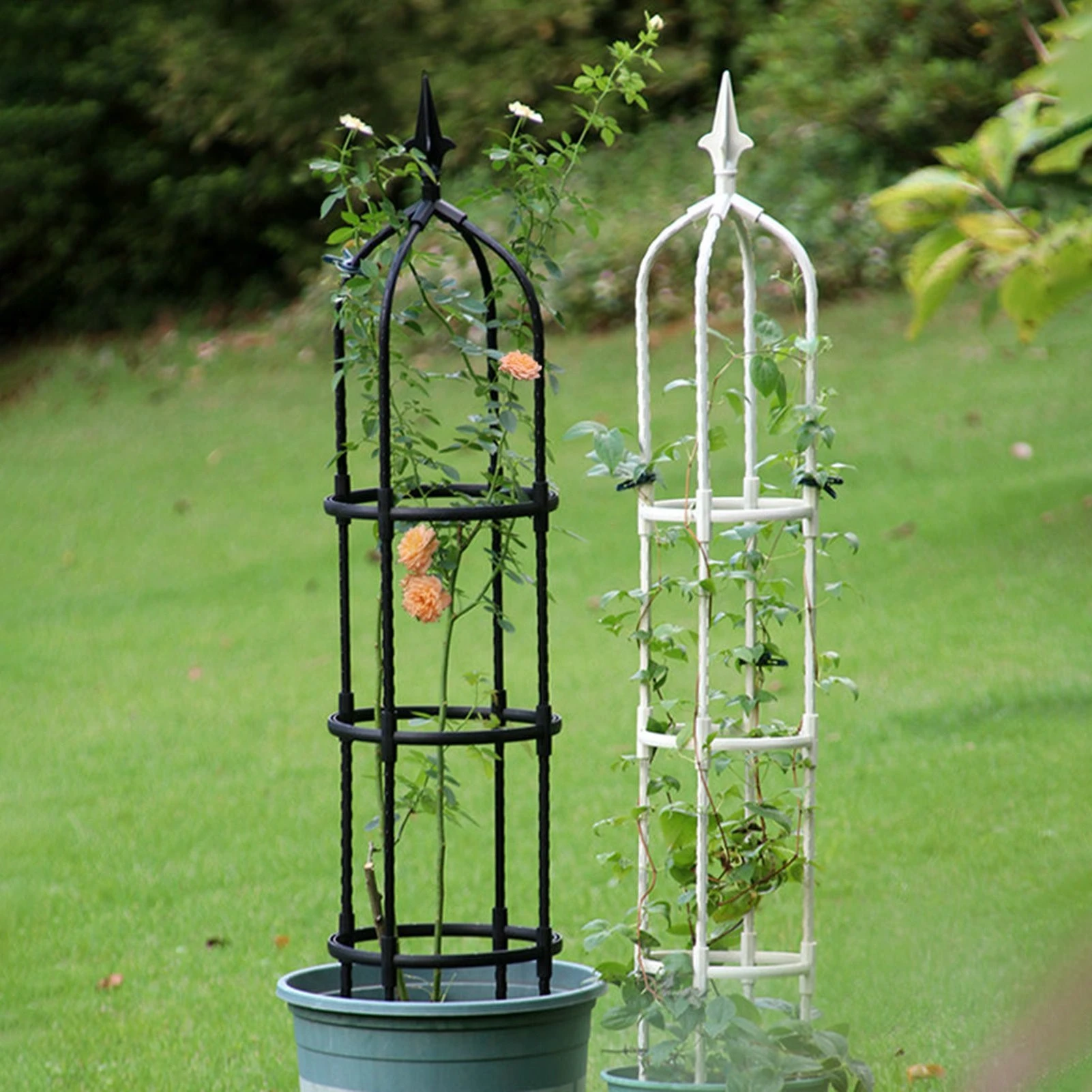 How to Properly Install Plant Support Without Damaging Roots