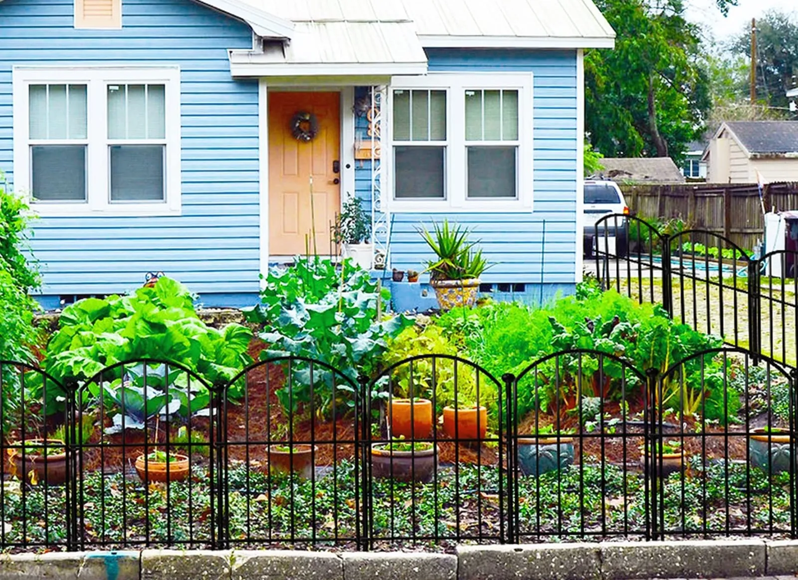 Outdoor Decor Metal Arched Flower Bed Edging Ornamental Wire Border Panel Fencing for Yard Patio