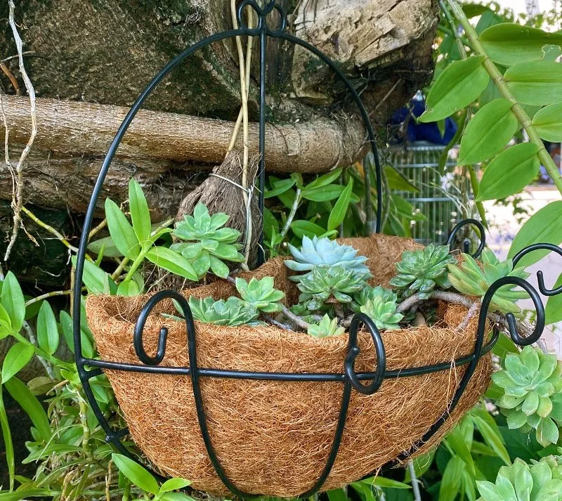 Coconut Palm Hanging Baskets Decoration Art Wall-mounted Flower Basket Balcony Flowers Grass Plant Pot