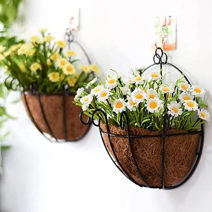 Coconut Palm Hanging Baskets | Wall-Mounted, Coco Liner