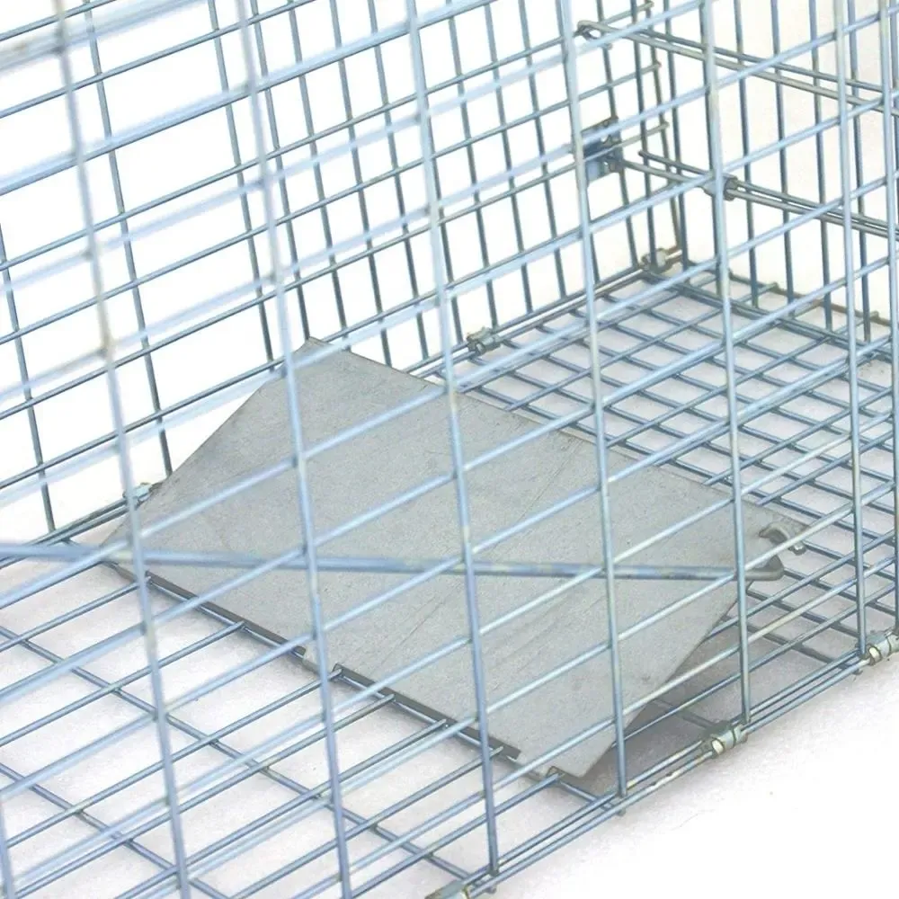 Folded Humane Large Live Animal Cage Traps Possum Trap