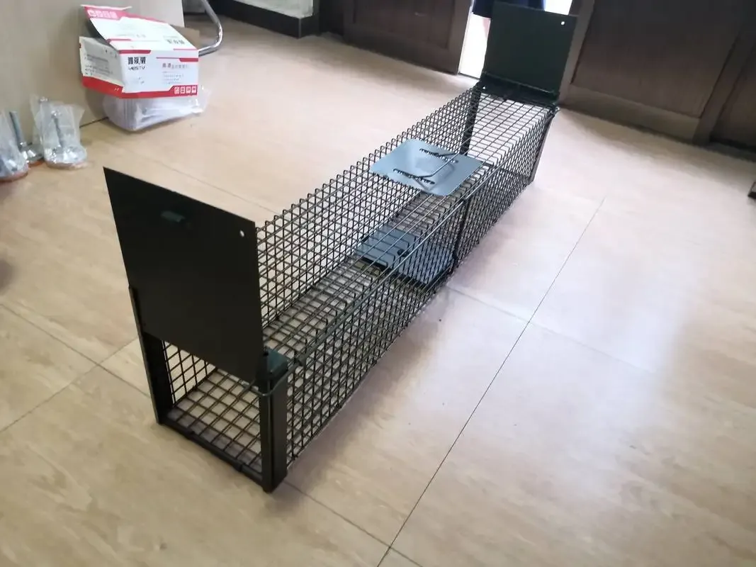 Large Dog Mouse Rat Cat Hot Sale Wire Possum Cage Wild Animal Trap Pig Humane Release Mesh