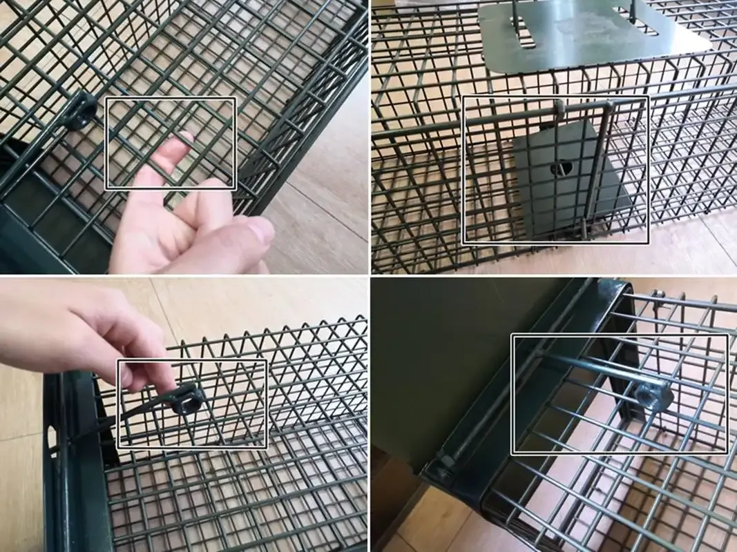 Large Dog Mouse Rat Cat Hot Sale Wire Possum Cage Wild Animal Trap Pig Humane Release Mesh