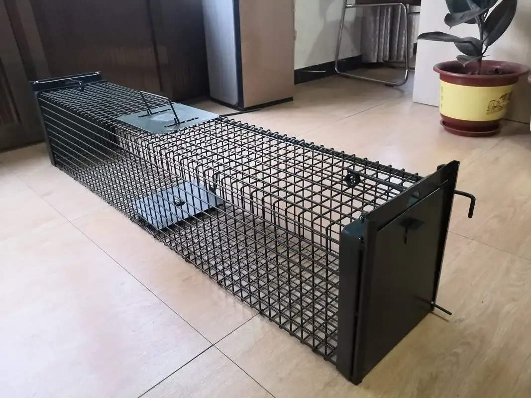 Large Dog Mouse Rat Cat Hot Sale Wire Possum Cage Wild Animal Trap Pig Humane Release Mesh