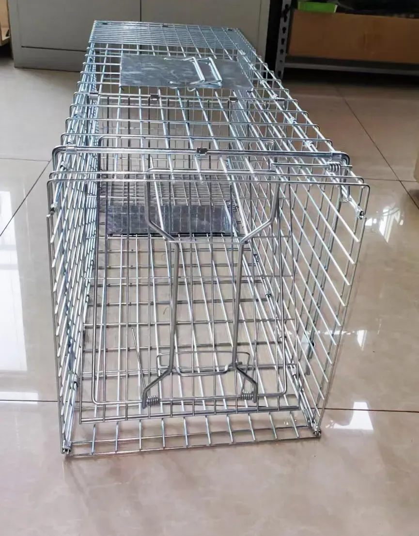 Folded Humane Large Live Animal Cage Traps Possum Trap