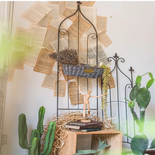 Outdoor Decoration Metal Garden Trellis for Plants Climbing Support