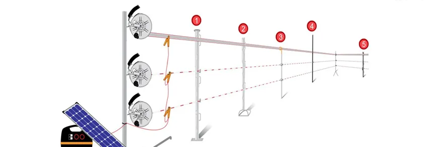 Electric Oval Steel Post With Insulator