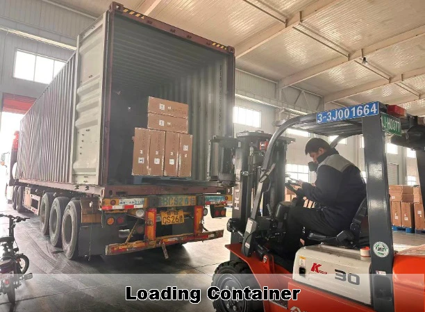 Read Mroe About 12 double gate