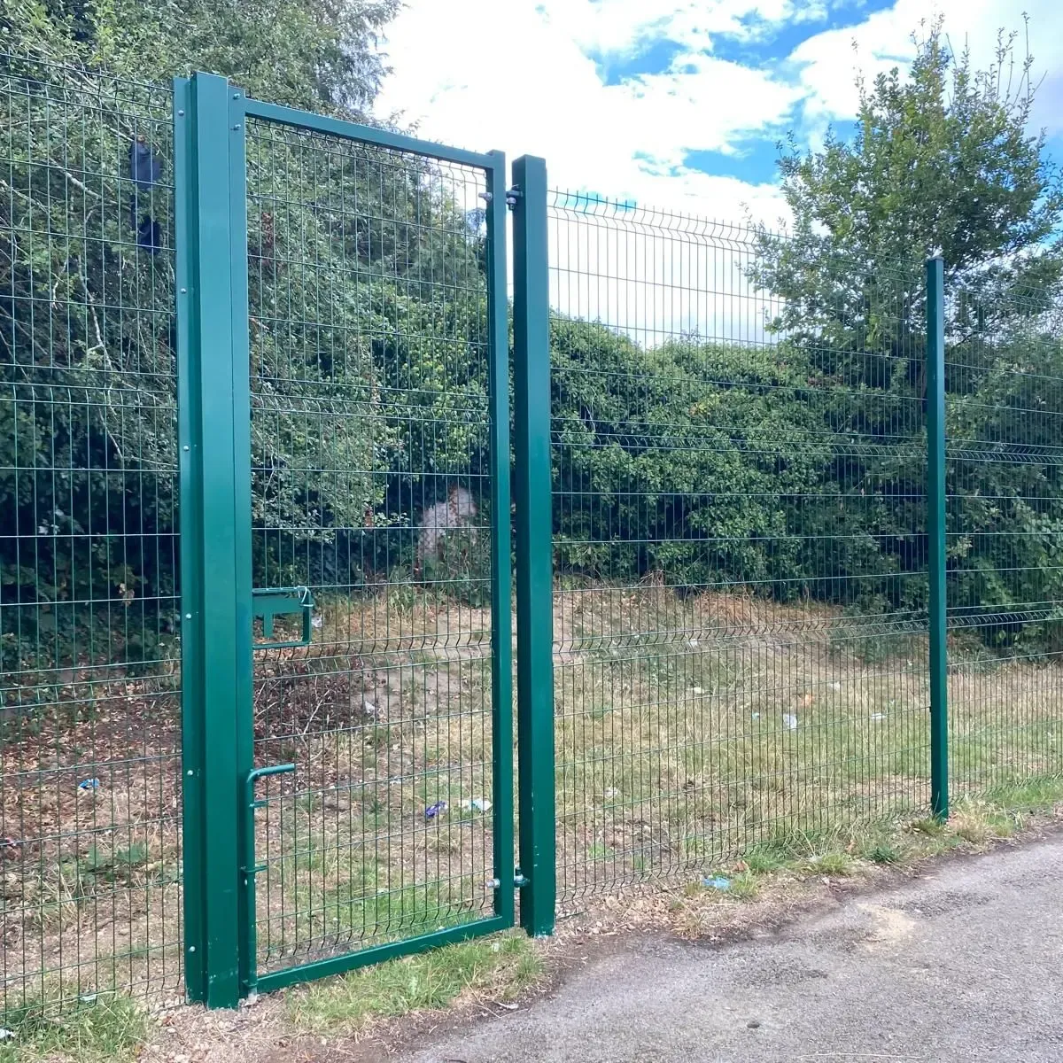 Read More About metal side gates with locks