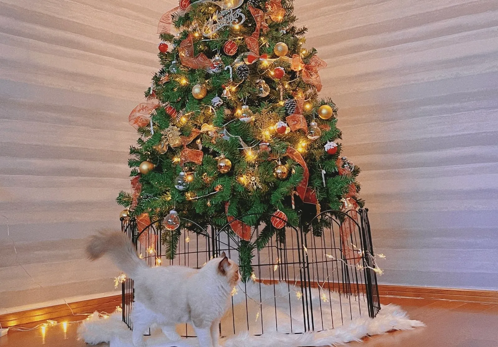 Outdoor Decor Metal Arched Flower Bed Edging Ornamental Wire Border Panel Fencing for Yard Patio