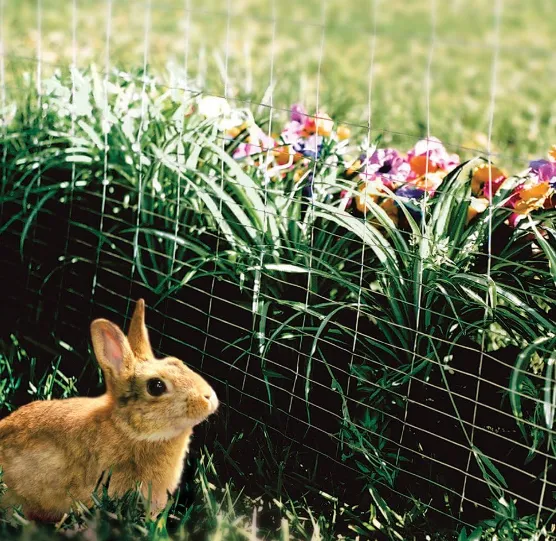 Read More About pvc coated welded wire mesh manufacturers