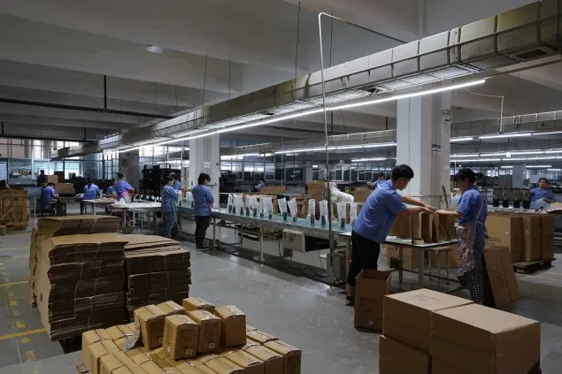 Hanging Plant Bracke Iron Decorative Wall Hanger Hooks