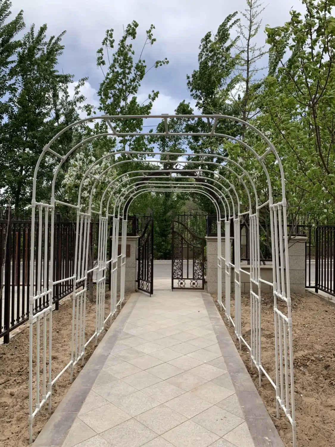 Essential Garden Supports for a Thriving Garden