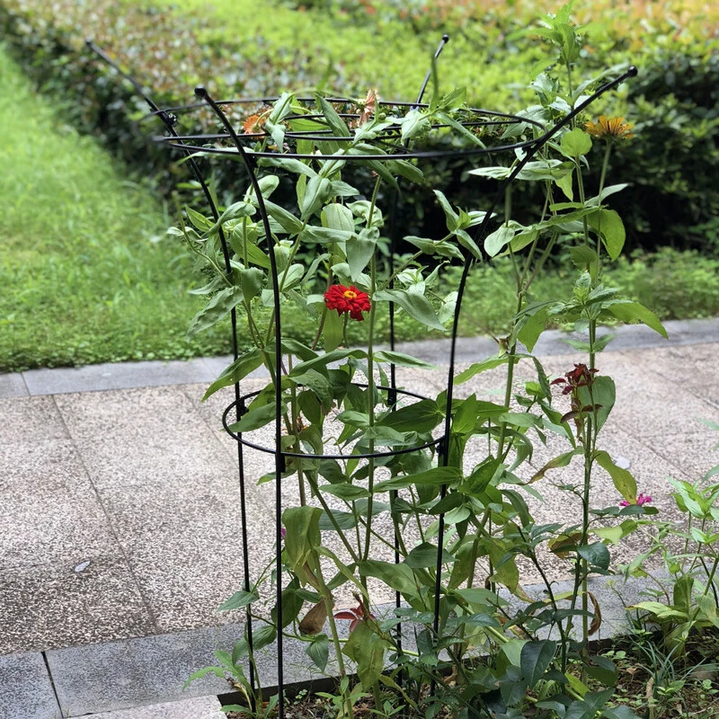 Perfect Plant Support for a Thriving Garden