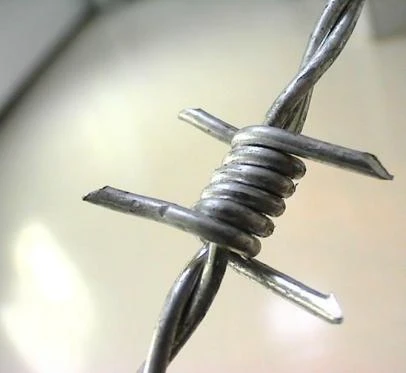Barbed Wire Fencing: Tough Security for Maximum Protection