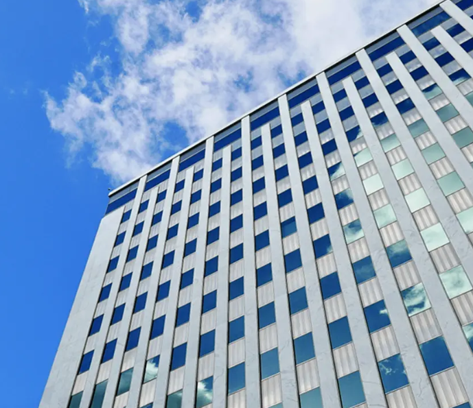 Dingzhou Lanye's barbed wire mesh: More than sharp edges