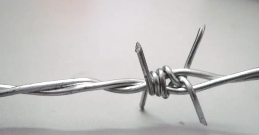 barbed wire