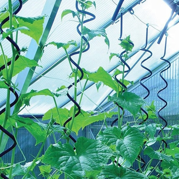 Durable Spiral Tomato Stakes for Farms