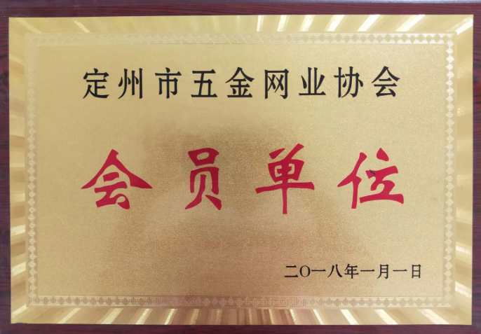 Chain Link PVC Fence for Modern Homes