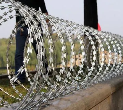 Barbed Wire Fencing: Tough Security for Maximum Protection