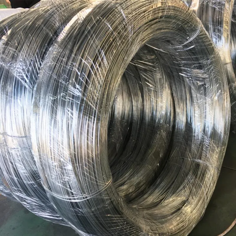Everything You Need to Know About Galvanized Iron Wire