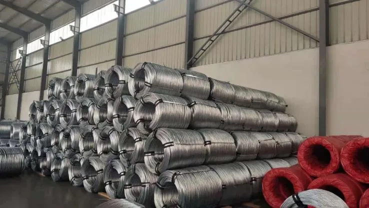 Everything You Need to Know About Galvanized Iron Wire