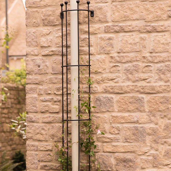 Metal Tube Trellis Semi Circular for Drainpipes