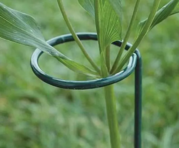 Your One-Stop Garden Supply Solution