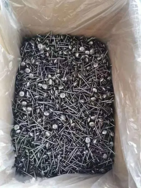 Roofing Nails: The Professional's Choice for Secure Fastening