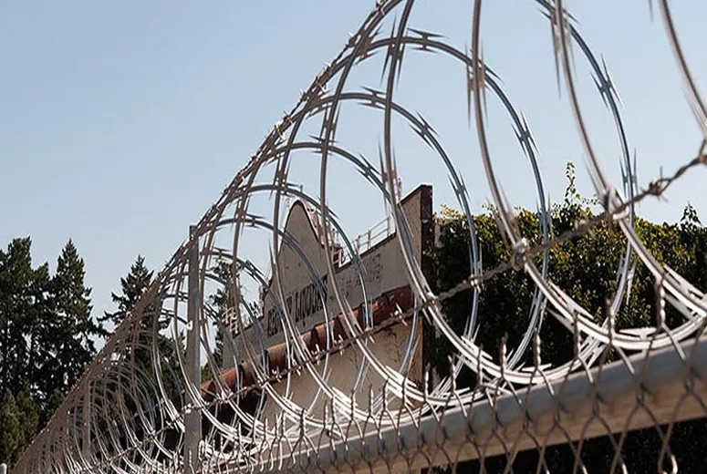 wire barbed fence