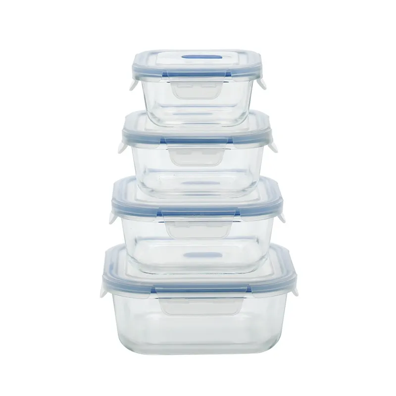 Vacuum Meal Prep Containers: Extend Freshness & Save Time