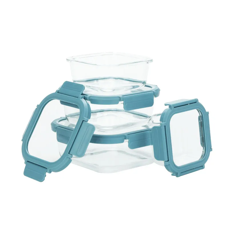 Glass Food Storage Container with Glass Lid | Airtight Seal