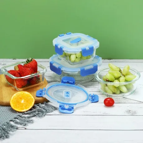 The Various Benefits Of High Borosilicate Glass Food Storage Container With Lid