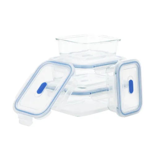 Vacuum Meal Prep Containers: Extend Freshness & Save Time