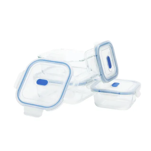 Vacuum Meal Prep Containers: Extend Freshness & Save Time