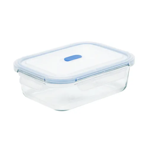 Vacuum Meal Prep Containers: Extend Freshness & Save Time