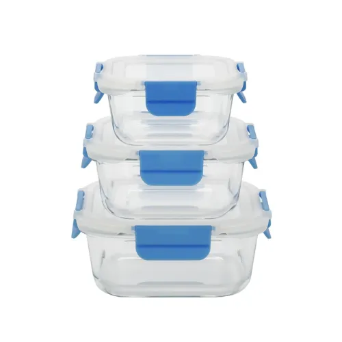 Glass Container with Plastic Lid | Airtight, BPA-Free