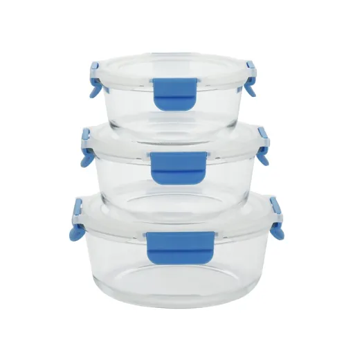 Glass Container with Plastic Lid | Airtight, BPA-Free