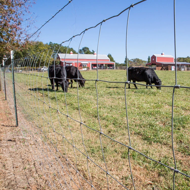 Vinyl Coated Welded Wire Fence - Durable and Versatile Fencing Solutions