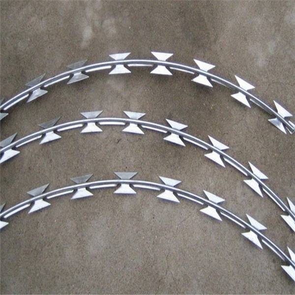 High-Security Razor Wire: Buy Coils, Mesh & Flat Wire