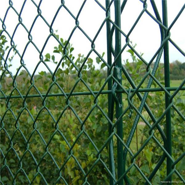 Buy Chain Link Fence: Best Price, Fast Delivery—Why Wait?