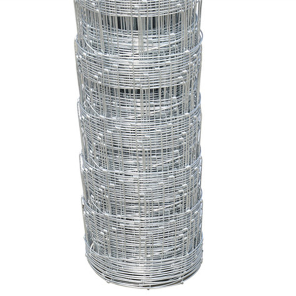 Spacious XL Wire Dog Crate for Comfortable Pet Housing and Training Options